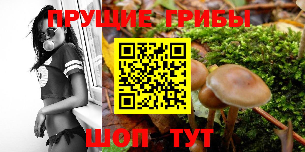 Хабаровск  купить закладку  Галлюциногенные грибы MAGIC MUSHROOMS  Вход с VPN  Галлюциногенные грибы Magic Shrooms 