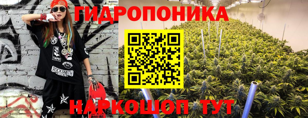 Бошки Шишки марихуана  Вход с VPN  МАРИХУАНА гибрид  Каннабис VHQ  Хабаровск 
